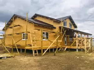 Фотография Древо 1